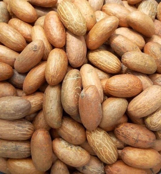 Bitter Cola Nut