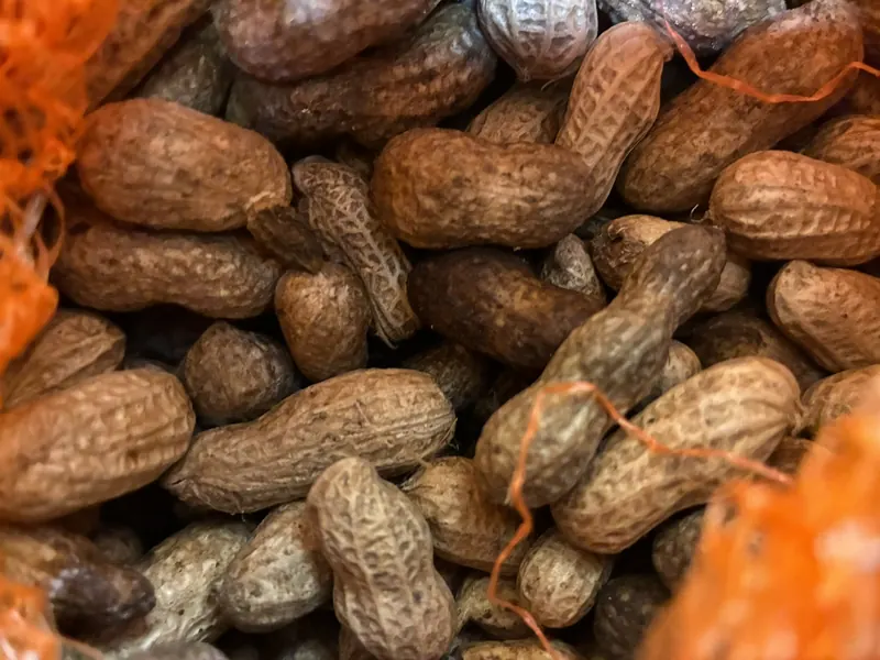Groundnuts in Shell